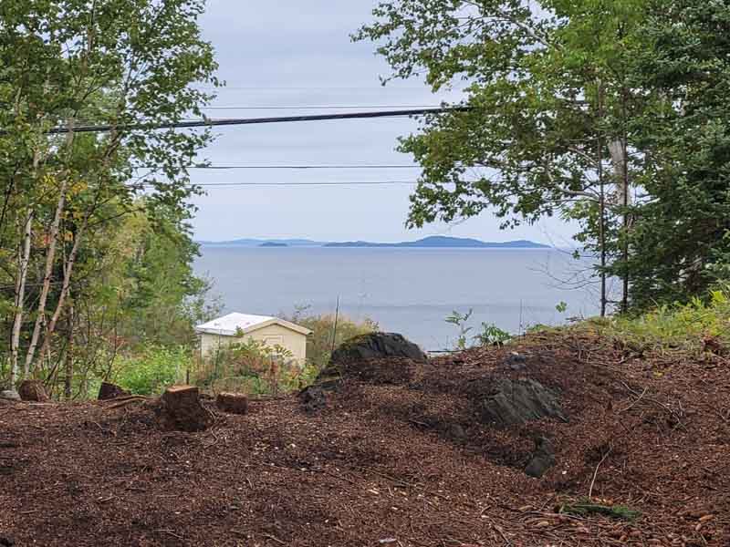 Albert Hillier 33 years serving